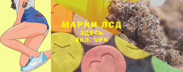 мдпв Пестово