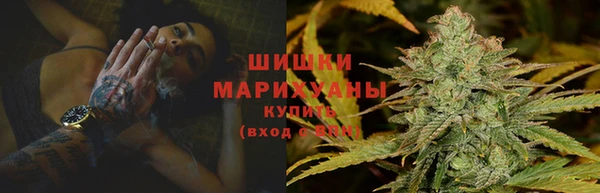 сатива Пересвет