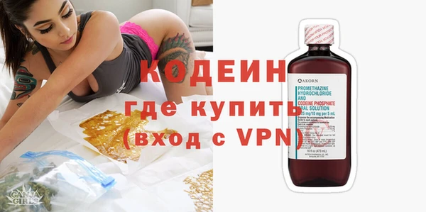 сатива Пересвет