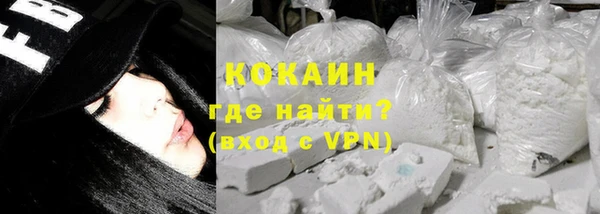 сатива Пересвет