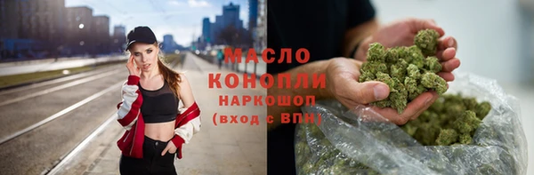 сатива Пересвет