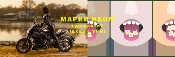 сатива Пересвет