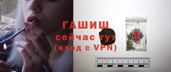 мдпв Пестово
