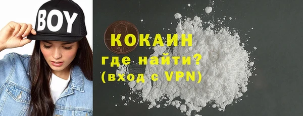 мдпв Пестово