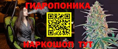 apvp Гагарин