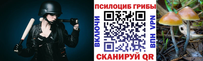 сколько стоит  Иркутск  Галлюциногенные грибы GOLDEN TEACHER 