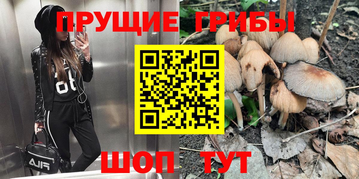 Псилоцибиновые грибы Psilocybe  Вход с VPN  Иркутск 
